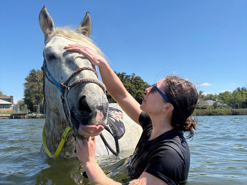 Florida Beach Horses-布雷登顿必去景点