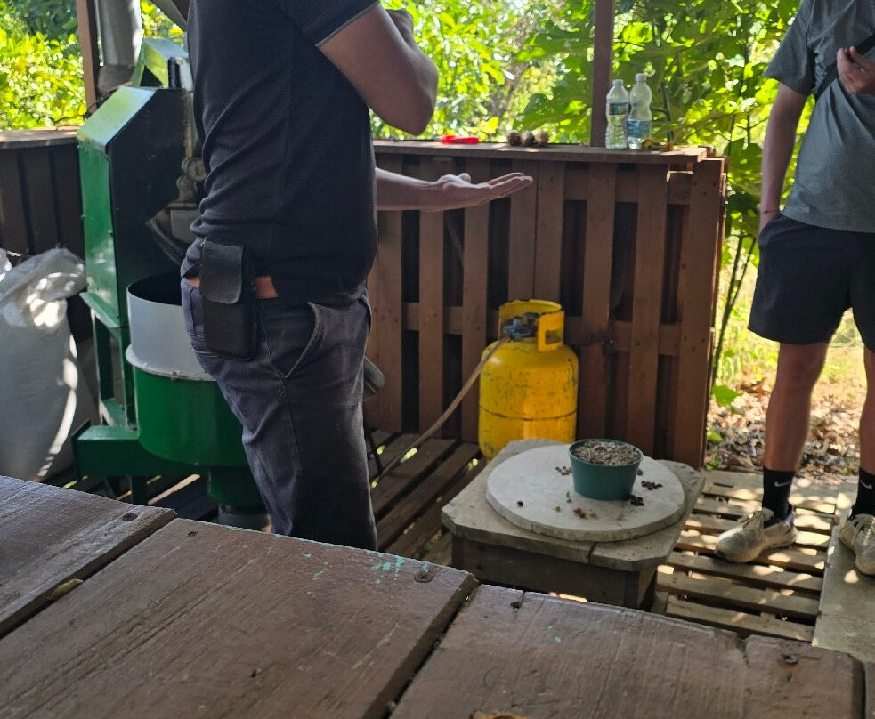 TIO JOSE COFFEE TOUR-葛雷西亚必去景点