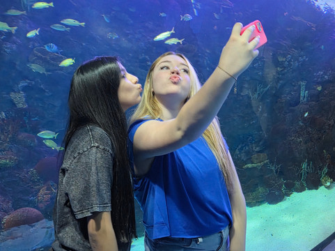 Aquarium At The Boardwalk-布兰森必去景点