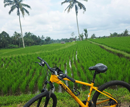 Bali Fun Bike Adventure-Pejeng Kaja必去景点