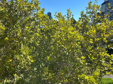 阿达科精品酒店主图