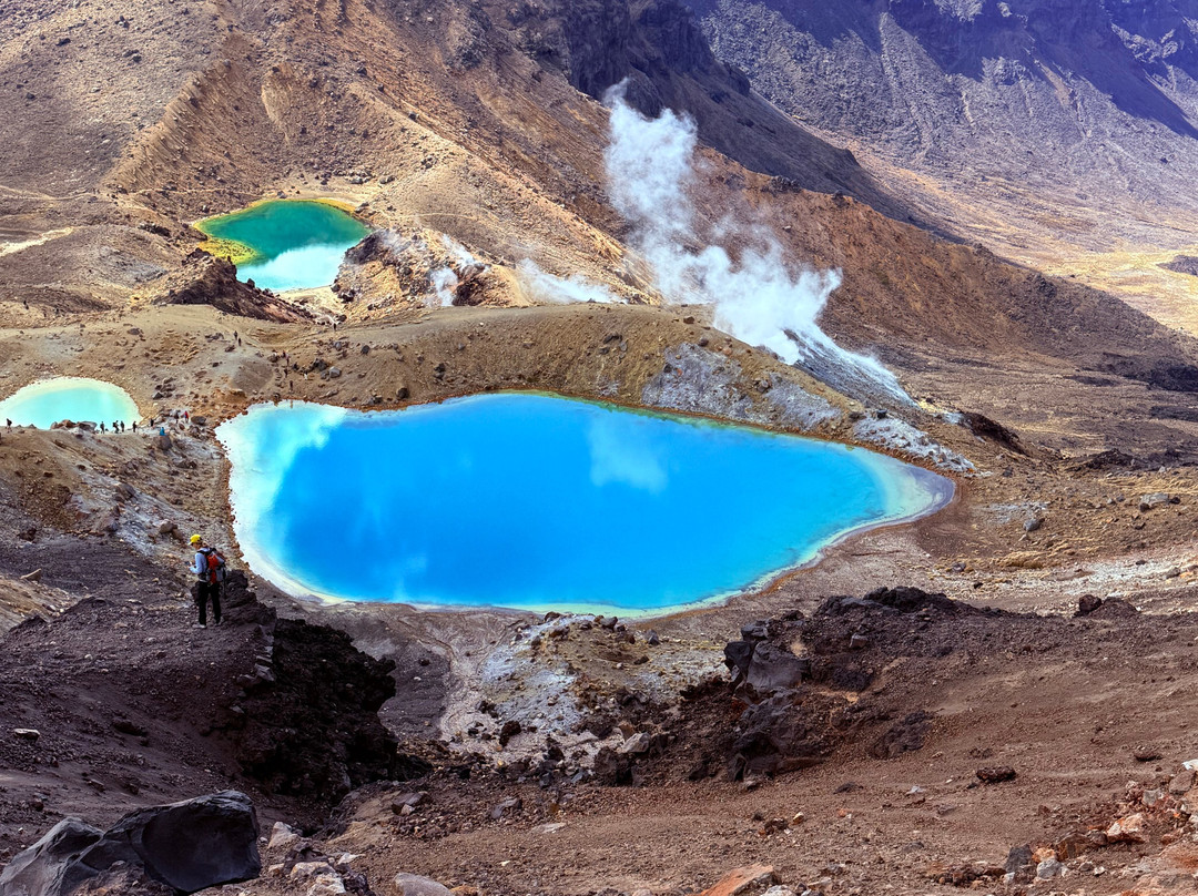 Tongariro Track Transport-National Park必去景点