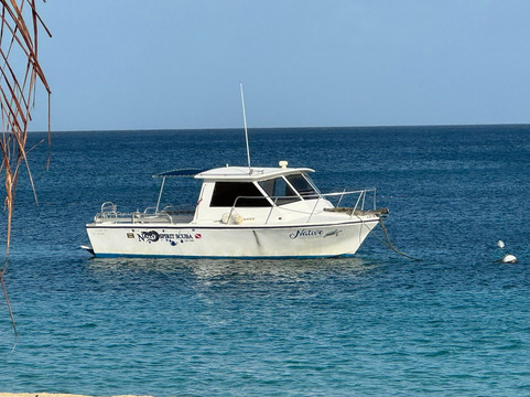 Native Spirit Scuba-Grand Anse必去景点