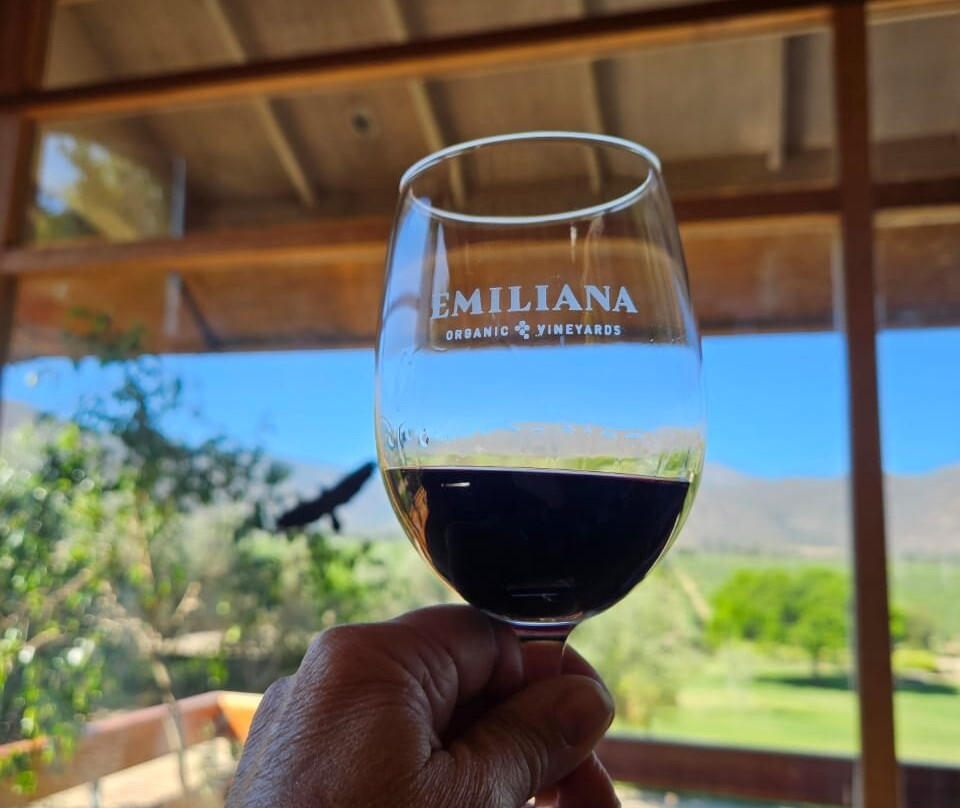 Emiliana Organic Vineyards-卡萨布兰卡必去景点