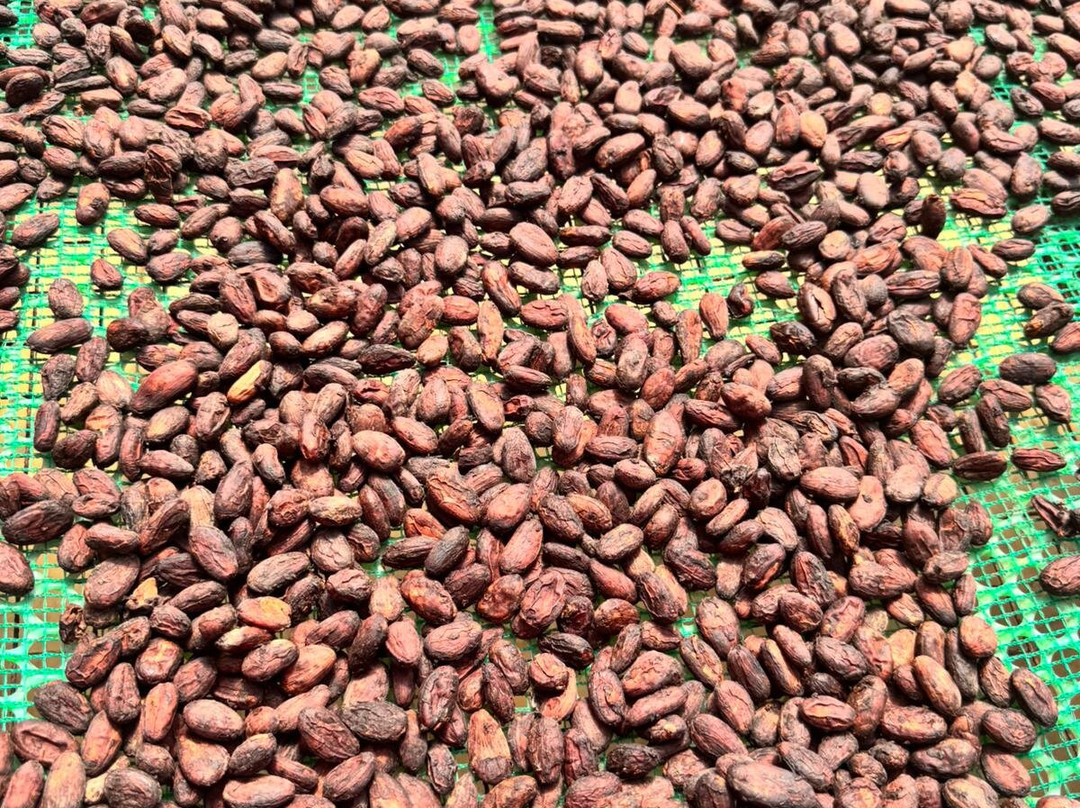 Ho Tram Tour-Ho Tram必去景点