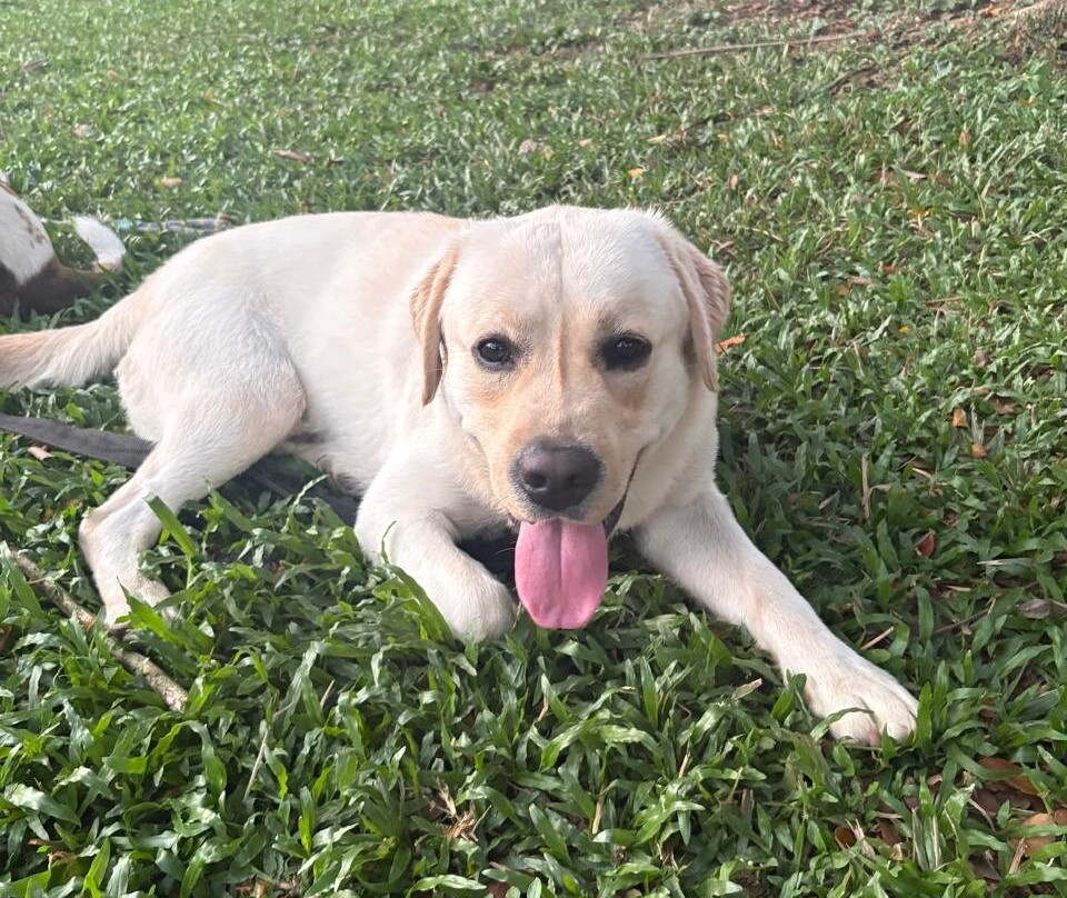 鲁斯特河度假村主图