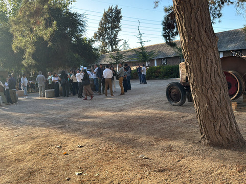 Cuatro Almas Wines-Buin必去景点