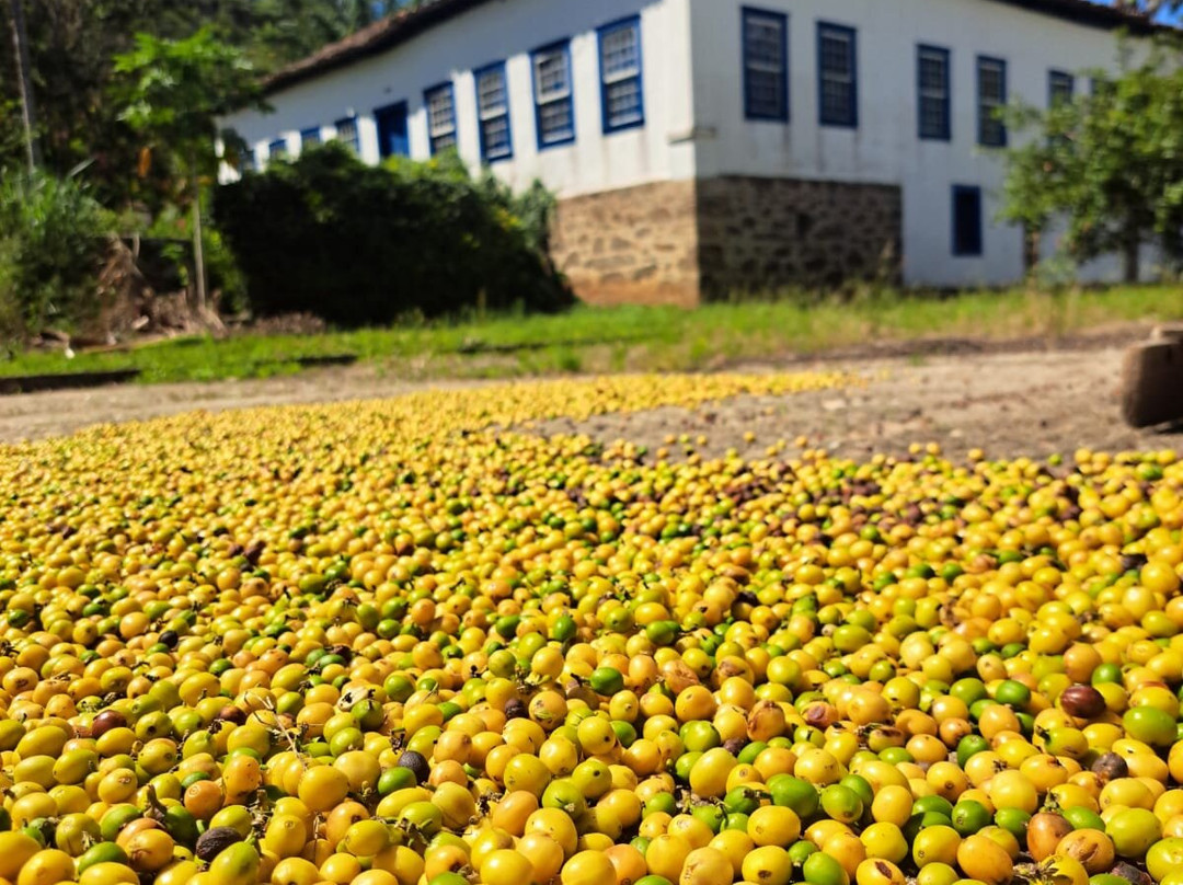 Fazenda da Taquara-Barra do Pirai必去景点