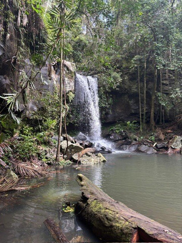 Curtis Falls-丹百林山必去景点