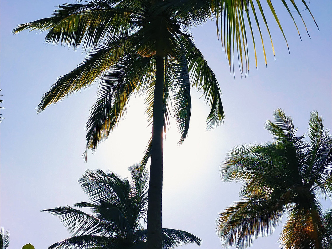 温德布伦德风筝度假村主图