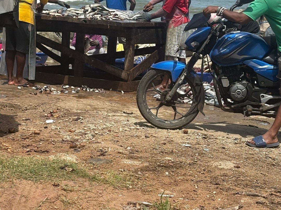 夏季侧住宅酒店主图