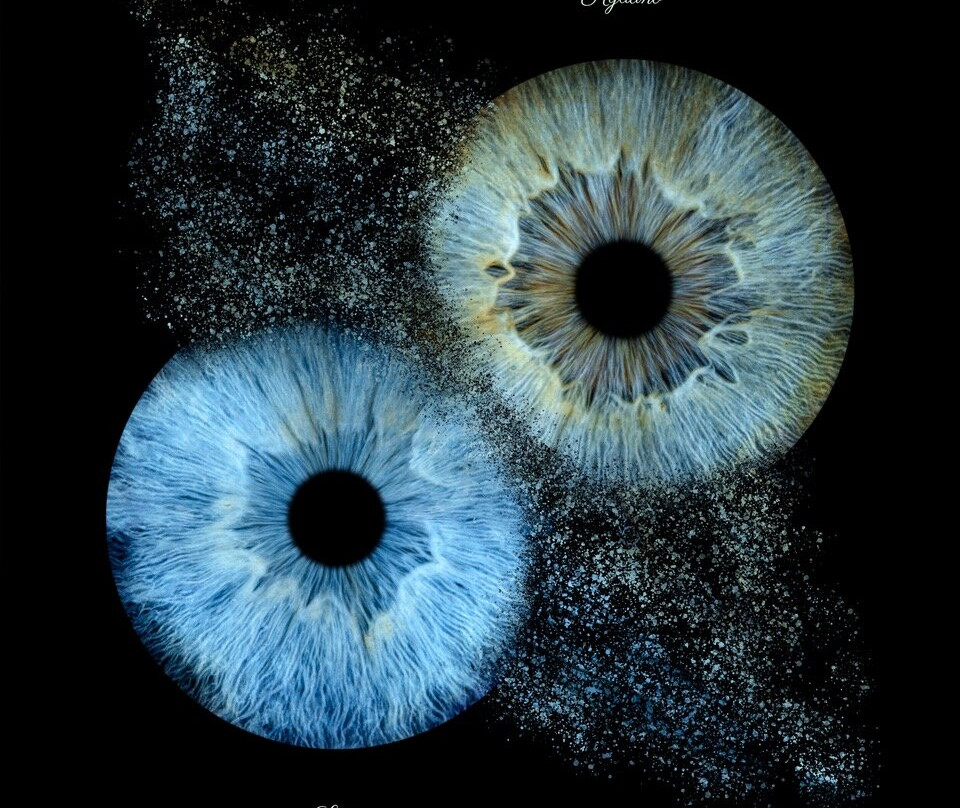 Iris Galerie Gent-根特必去景点