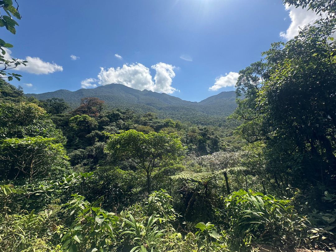 Tenorio National Park-Buena Vista必去景点