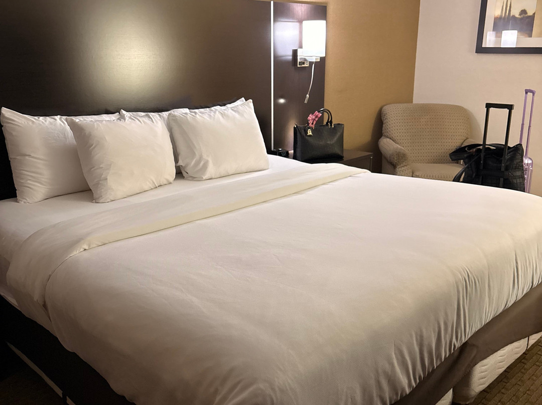 舒适酒店机场西主图