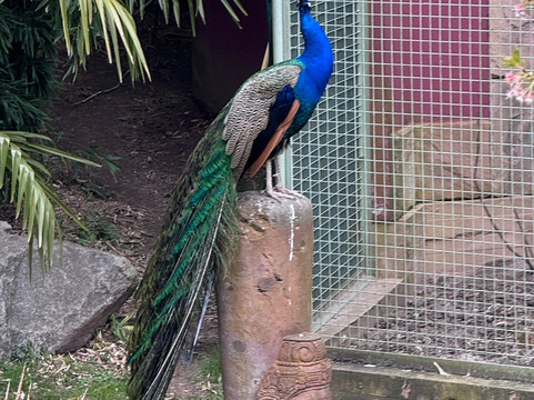 Hofgut Holzmuhle主图