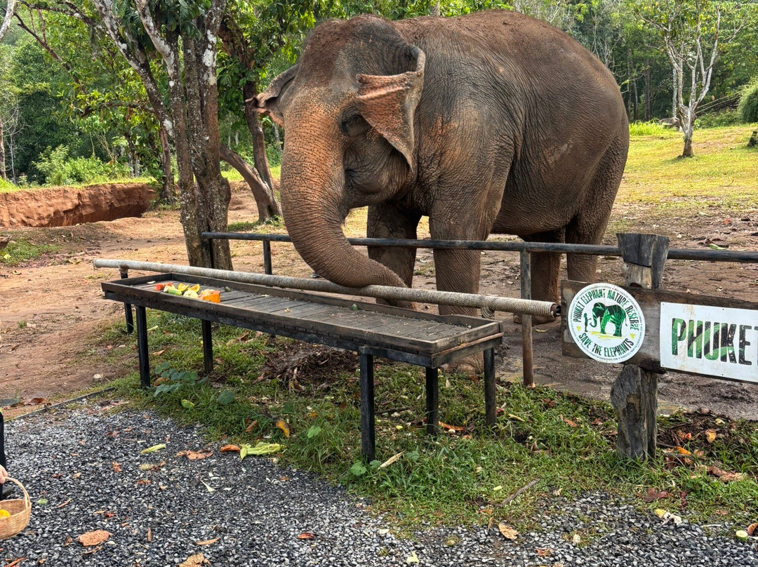 Phuket Elephant Nature Reserve-他朗必去景点