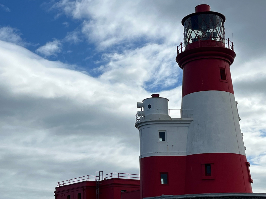 Serenity Farne Island Boat Tours-Seahouses必去景点