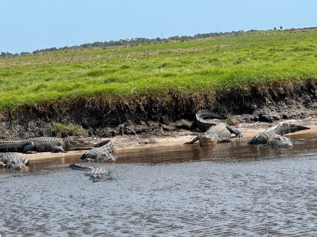 AirBoat Rides at Midway-Christmas必去景点