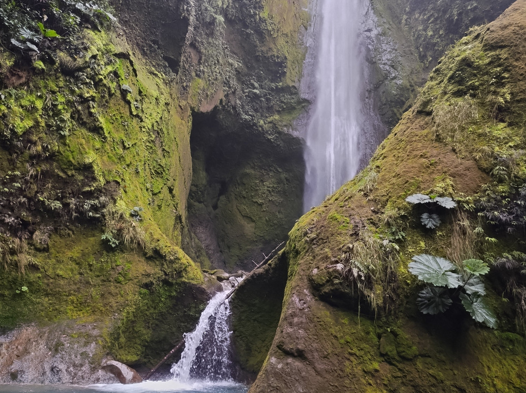 Arenas Travel Costa Rica-埃斯卡松必去景点