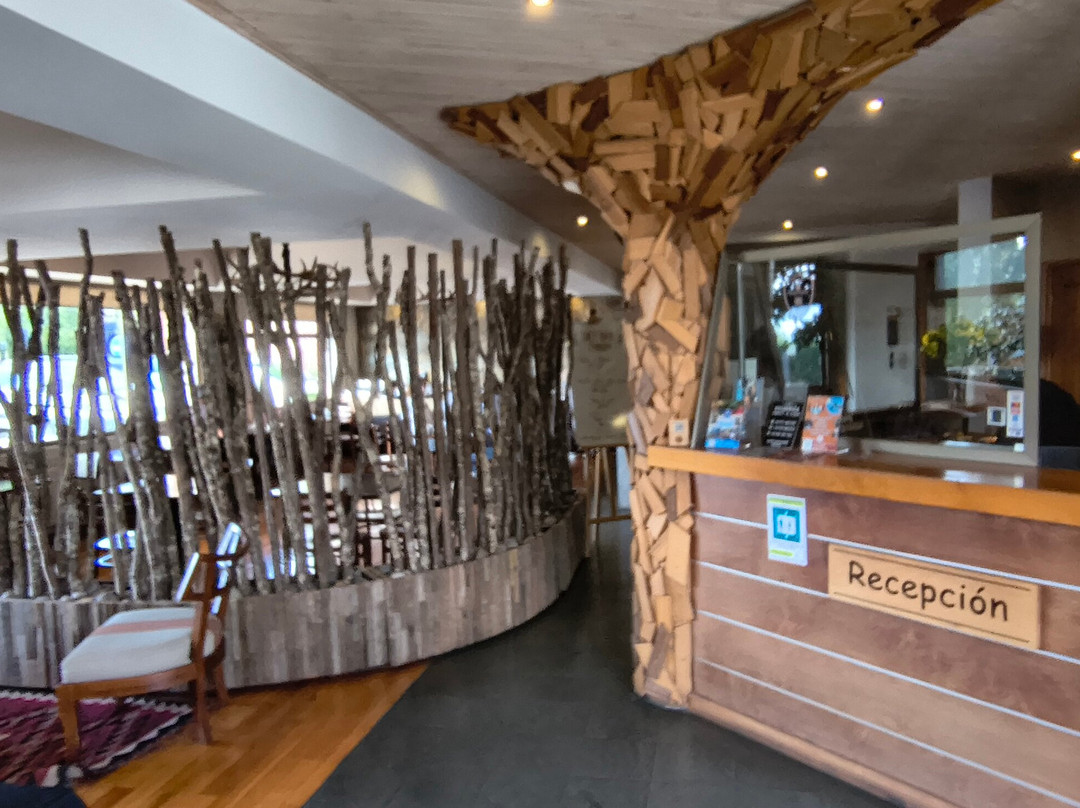 特拉兹套房酒店主图