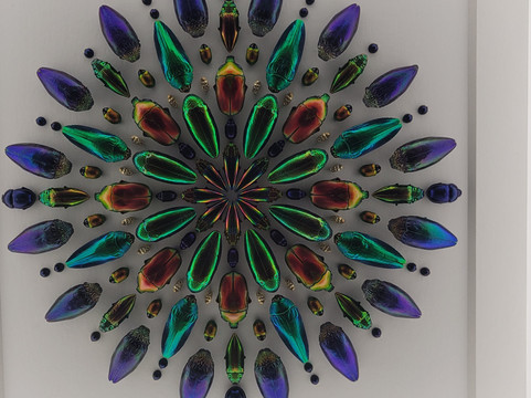 Peoria Riverfront Museum-皮奥里亚必去景点