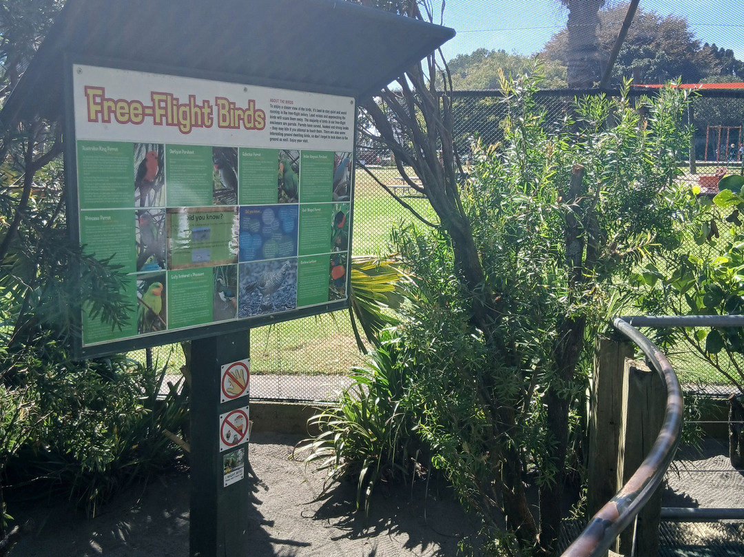 Brooklands Zoo-新普利默斯必去景点