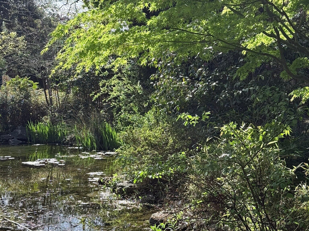 Parc De L'amitié-吕埃—玛尔梅松必去景点