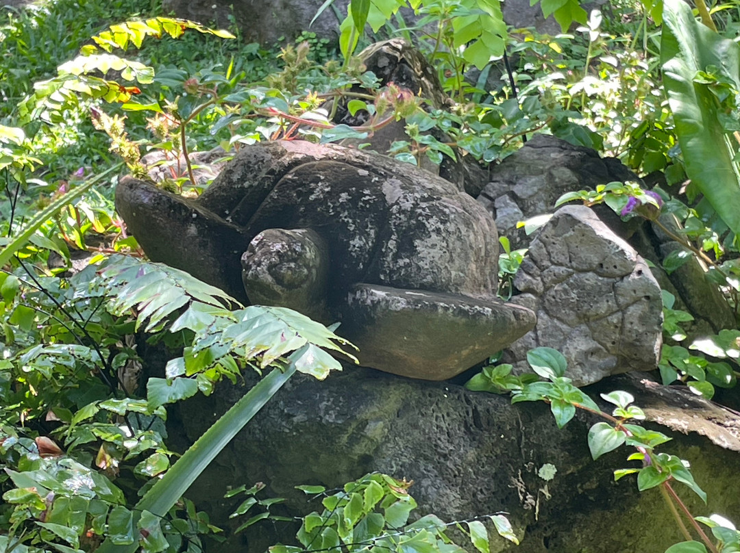 Afareaitu Waterfalls-Afareaitu必去景点