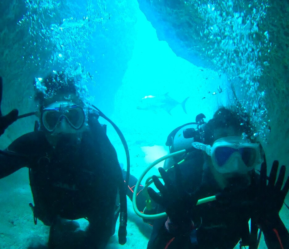 Miyakojima Diving Shop Guide-Ya-San-宫古岛市必去景点