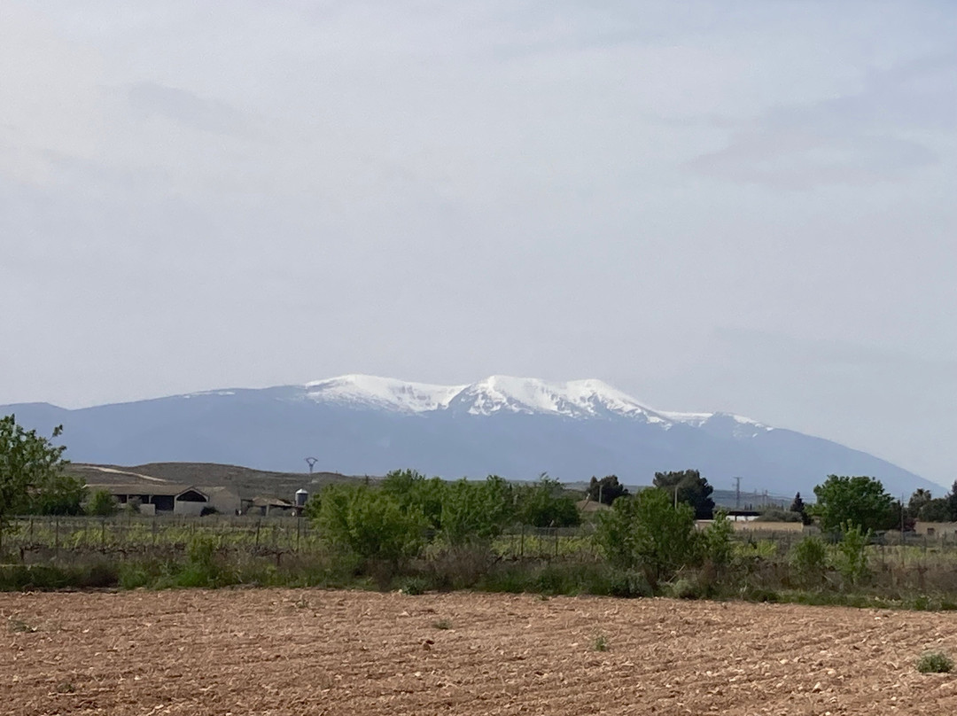 Burosque Encantado-Bureta必去景点