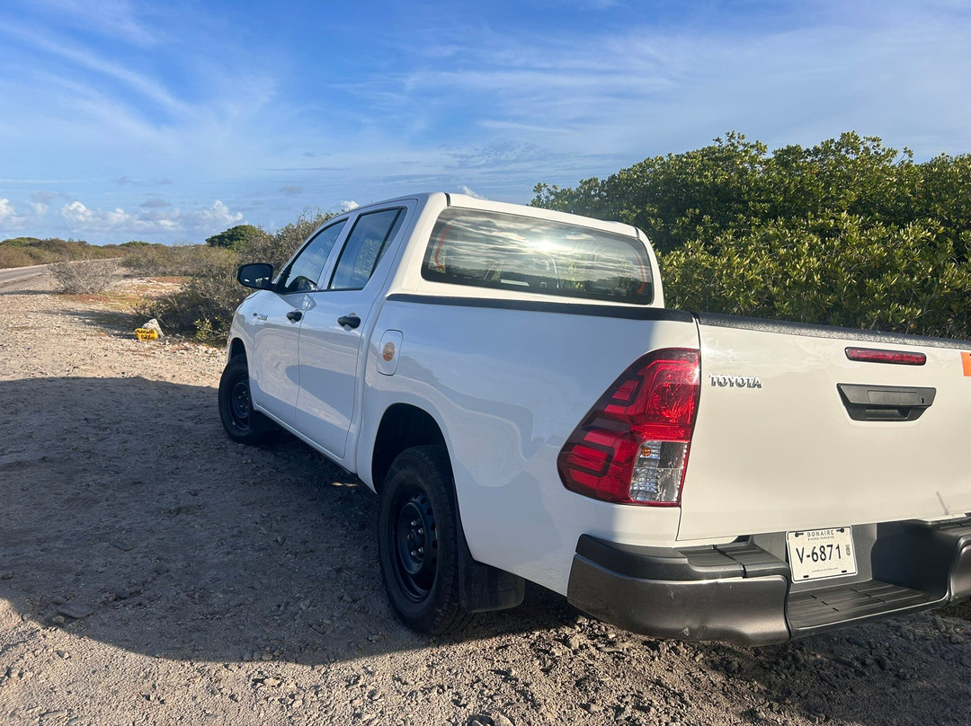 123 Car Rental Bonaire-Kralendijk必去景点