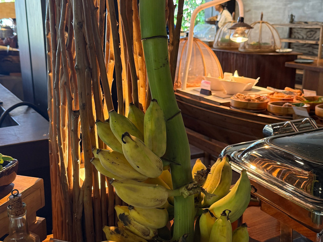 伊斯卡拉度假酒店主图