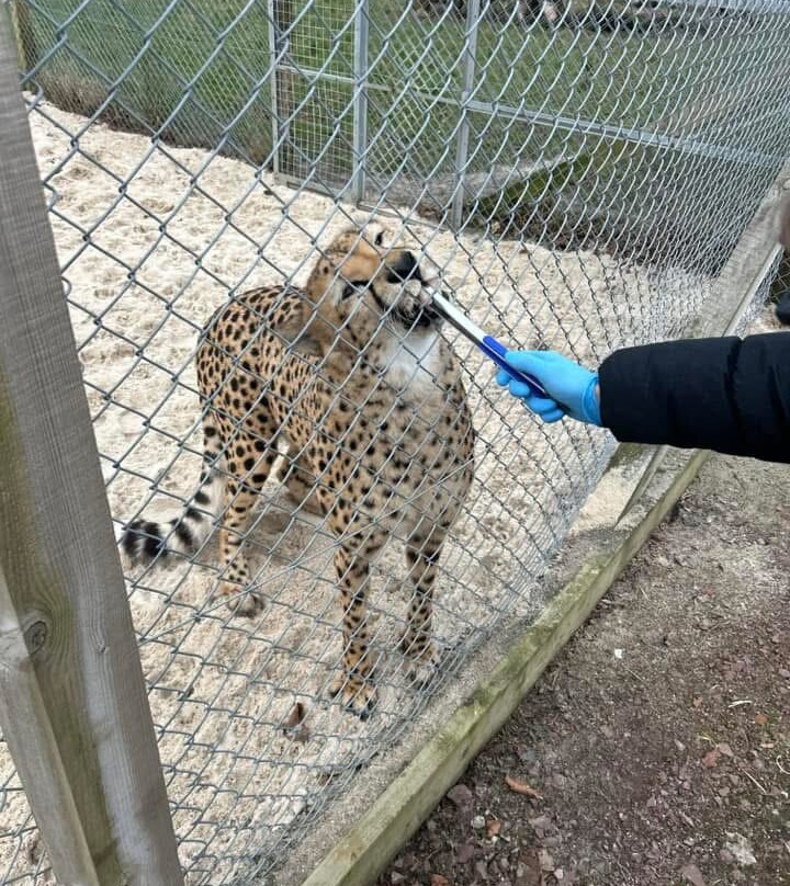 Five Sisters Zoo-West Calder必去景点