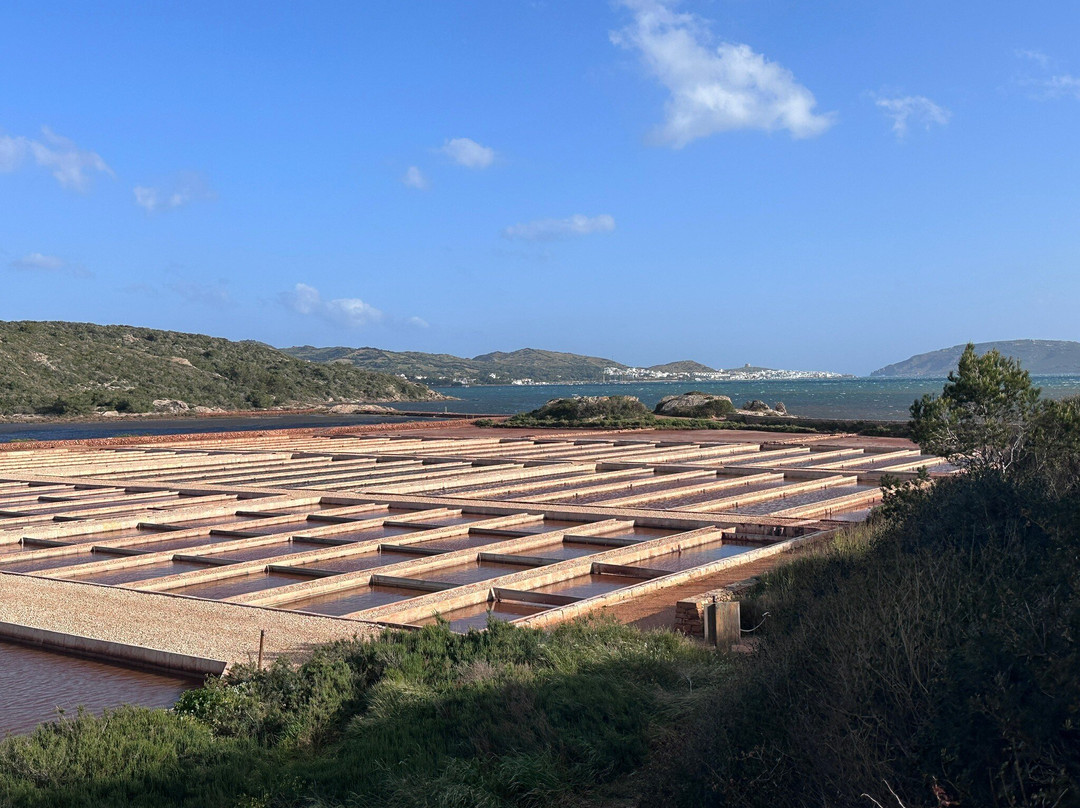 Sal de Menorca - Salinas de La Concepción