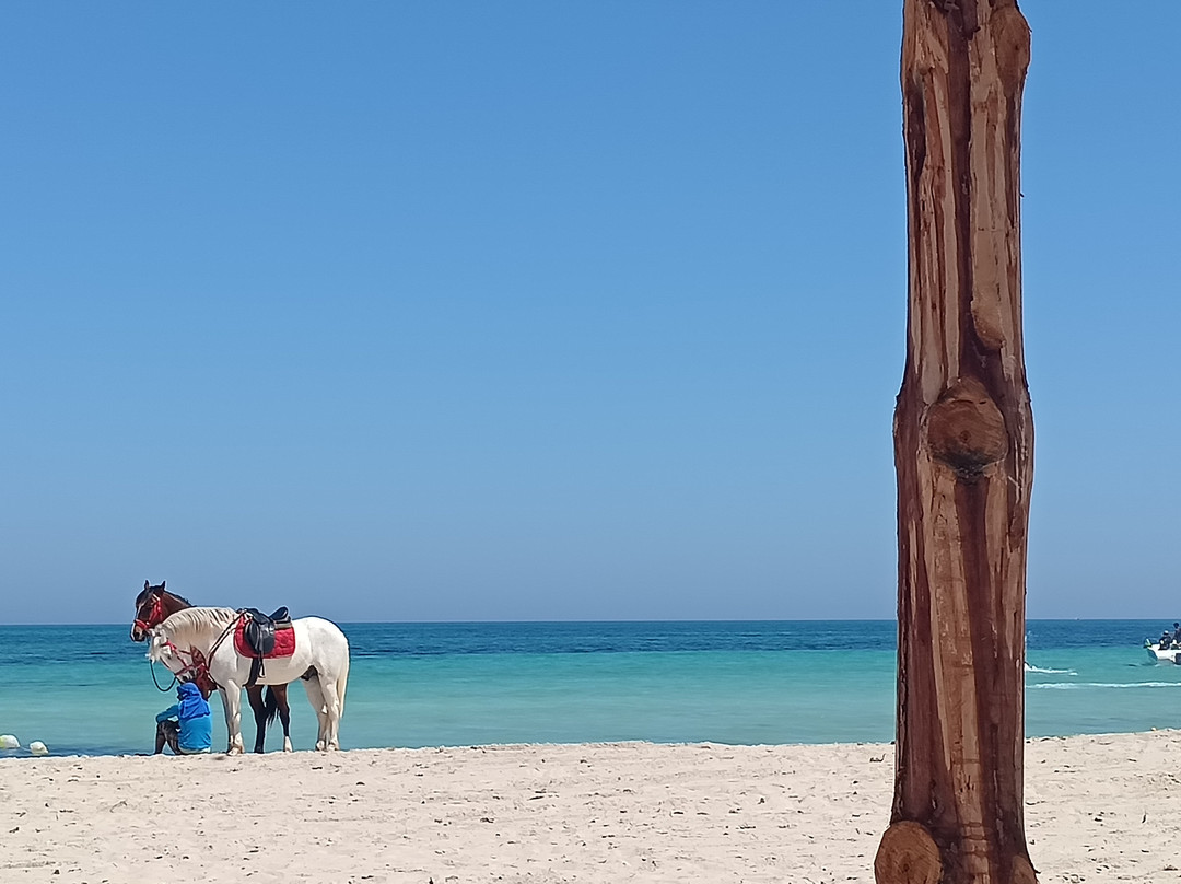 Télémaque Beach & Spa主图