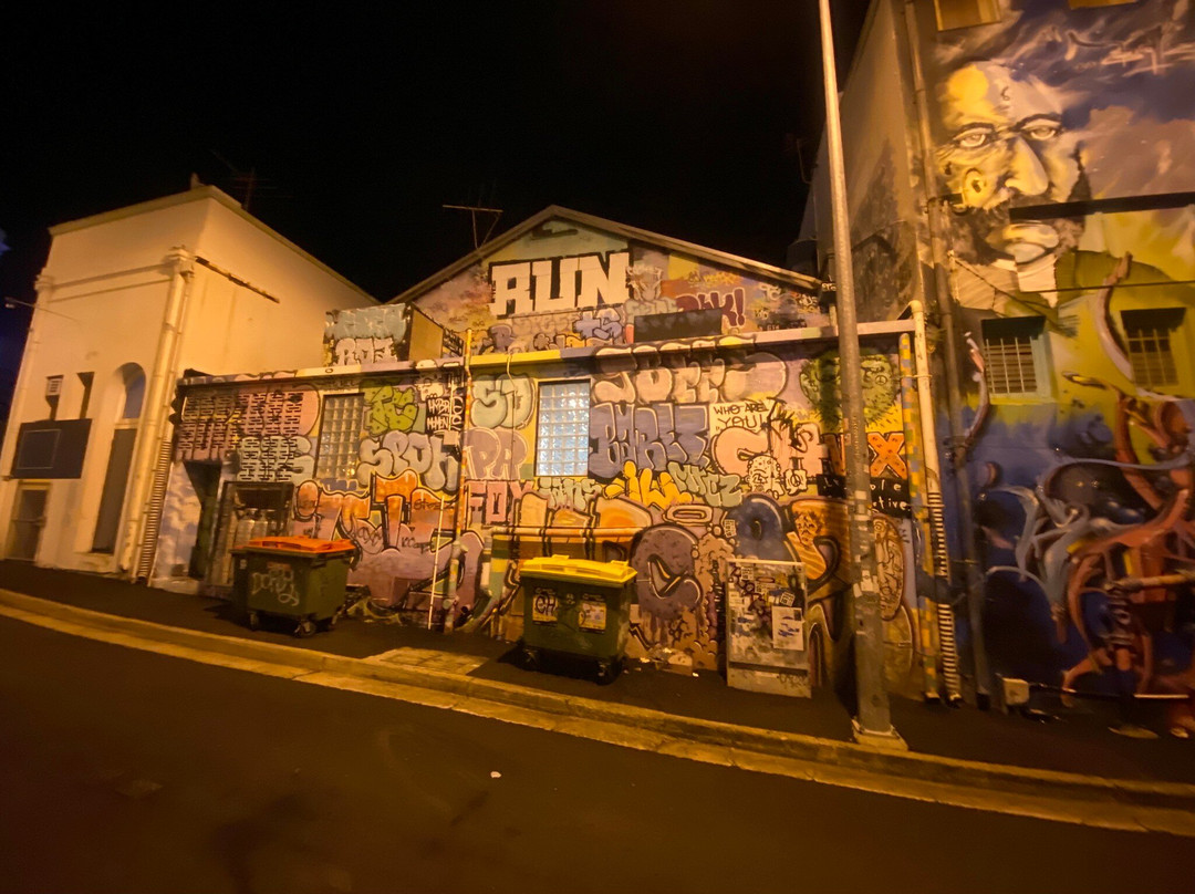 Street Art CBD Walking Trails-汤斯维尔必去景点