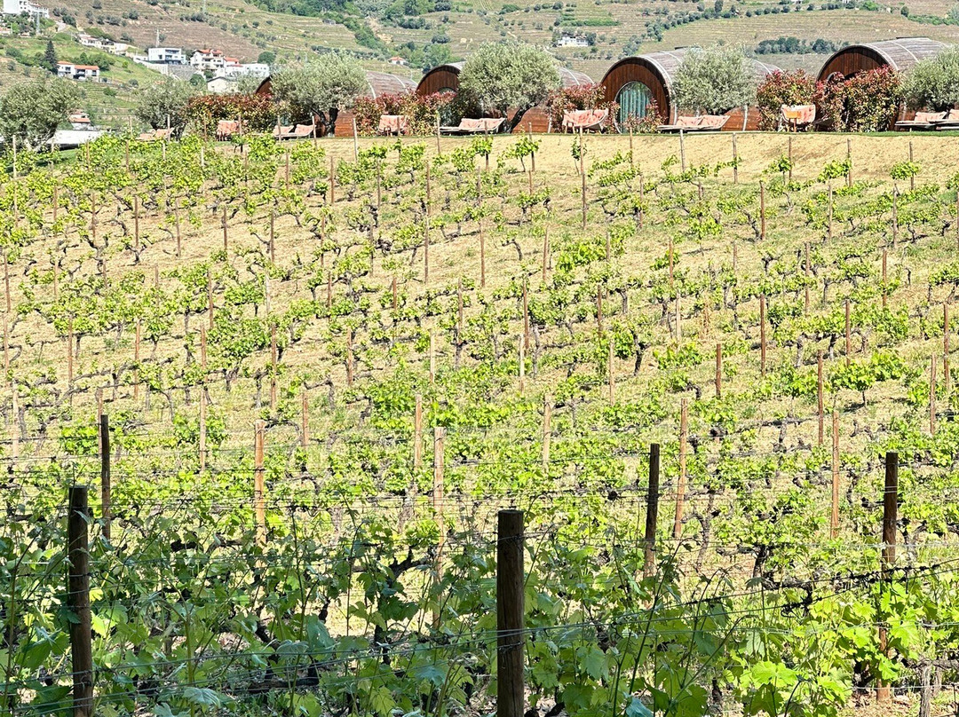 Quinta da Pacheca-Lamego必去景点