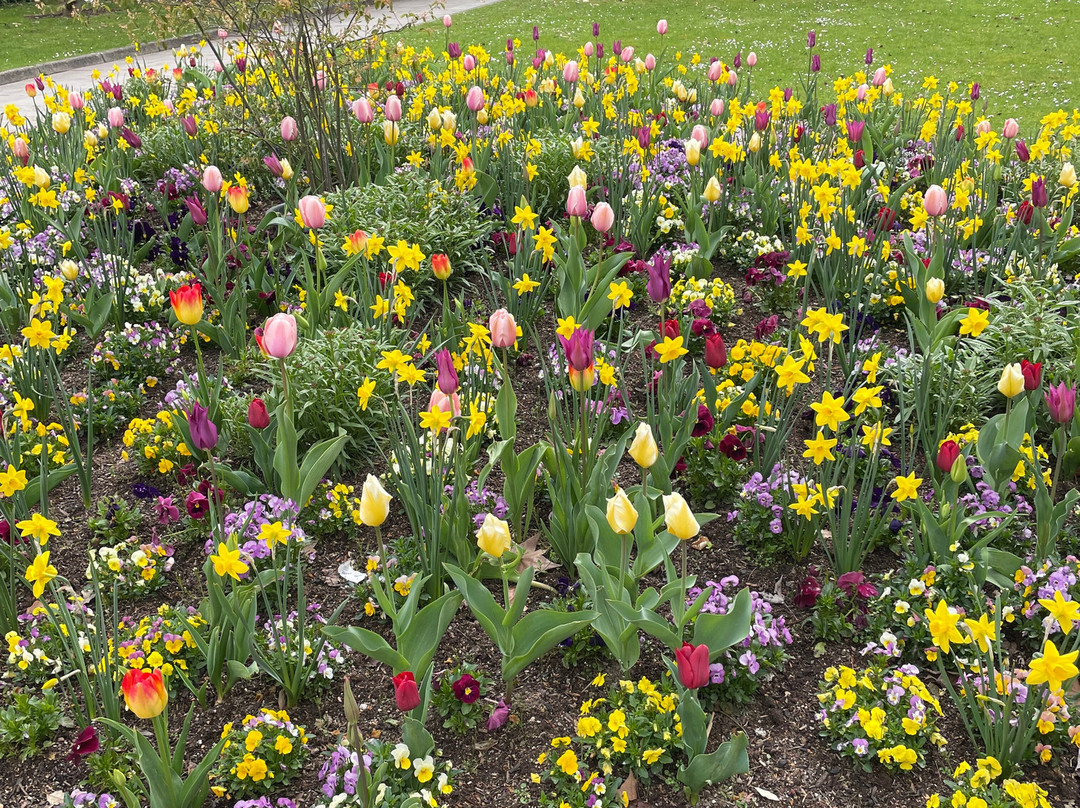 棕榈树公园-法兰克福必去景点