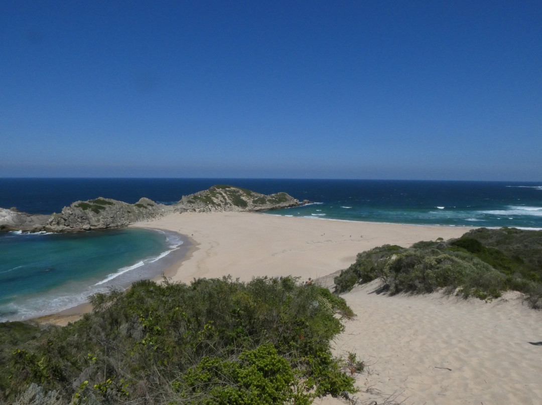 Tash Tours Cape Town-Grassy Park必去景点