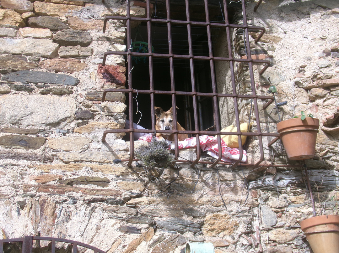 Village Medieval de Castelnou-Castelnou必去景点