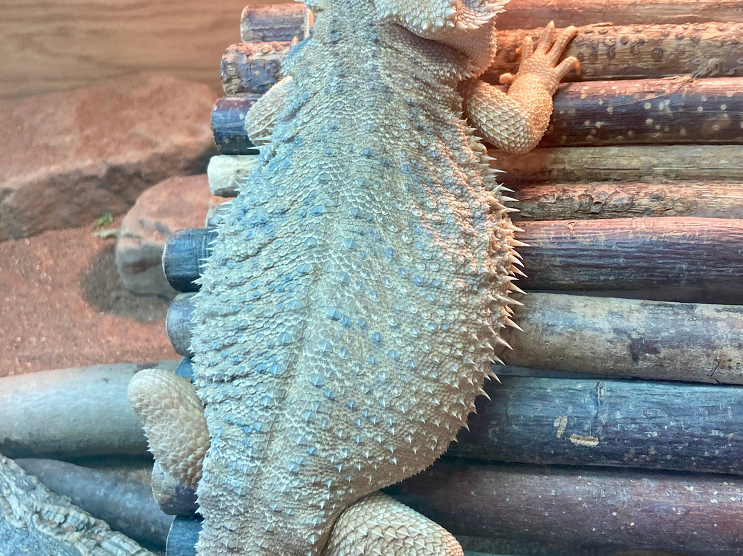 Northumberland College Zoo-Ponteland必去景点