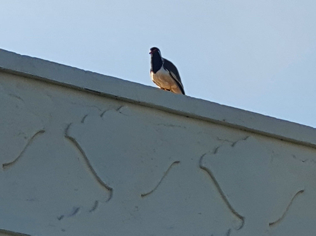 新昌迪加尔欧贝罗伊沙可维拉斯 SPA 度假村主图