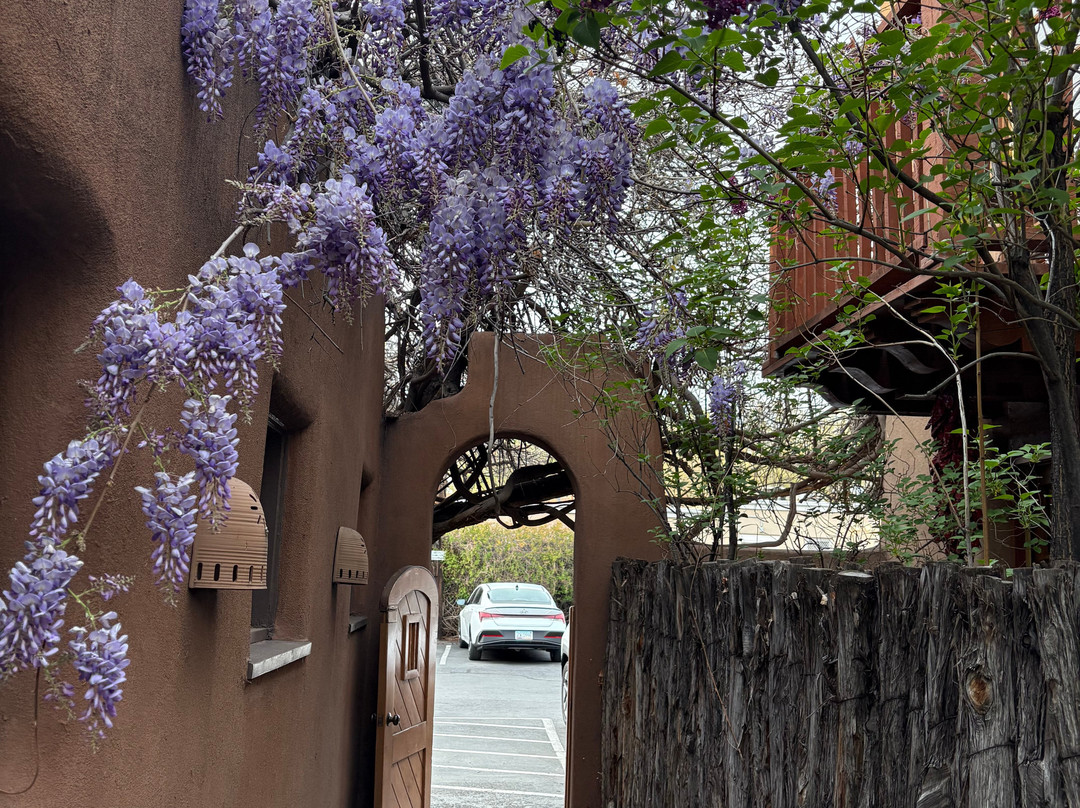 阿拉米达酒店主图