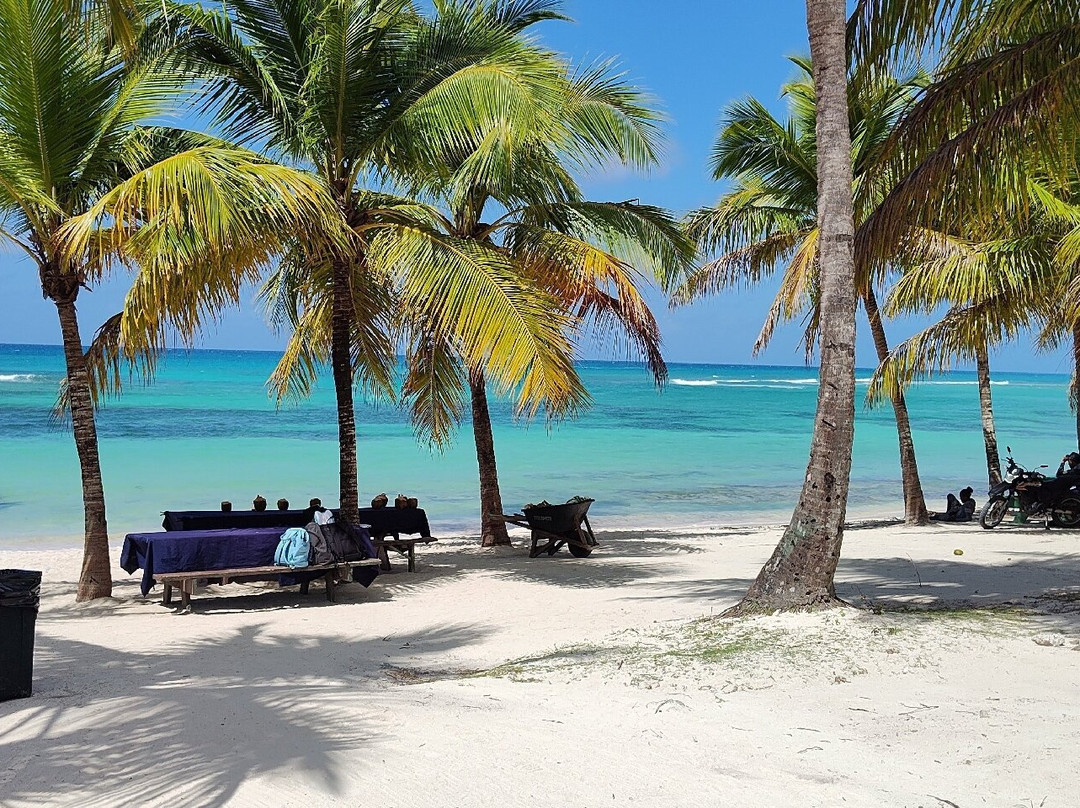 Mariposa Tours-Bayahibe必去景点