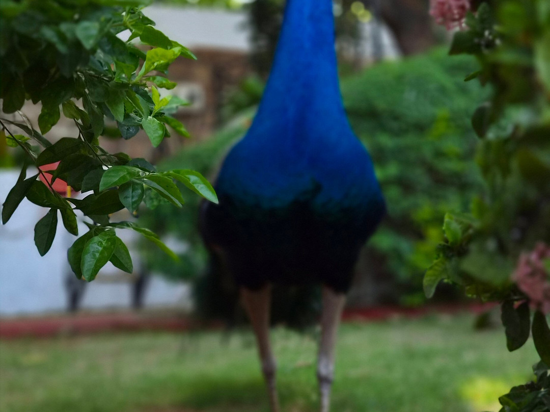 Gateway马杜赖主图