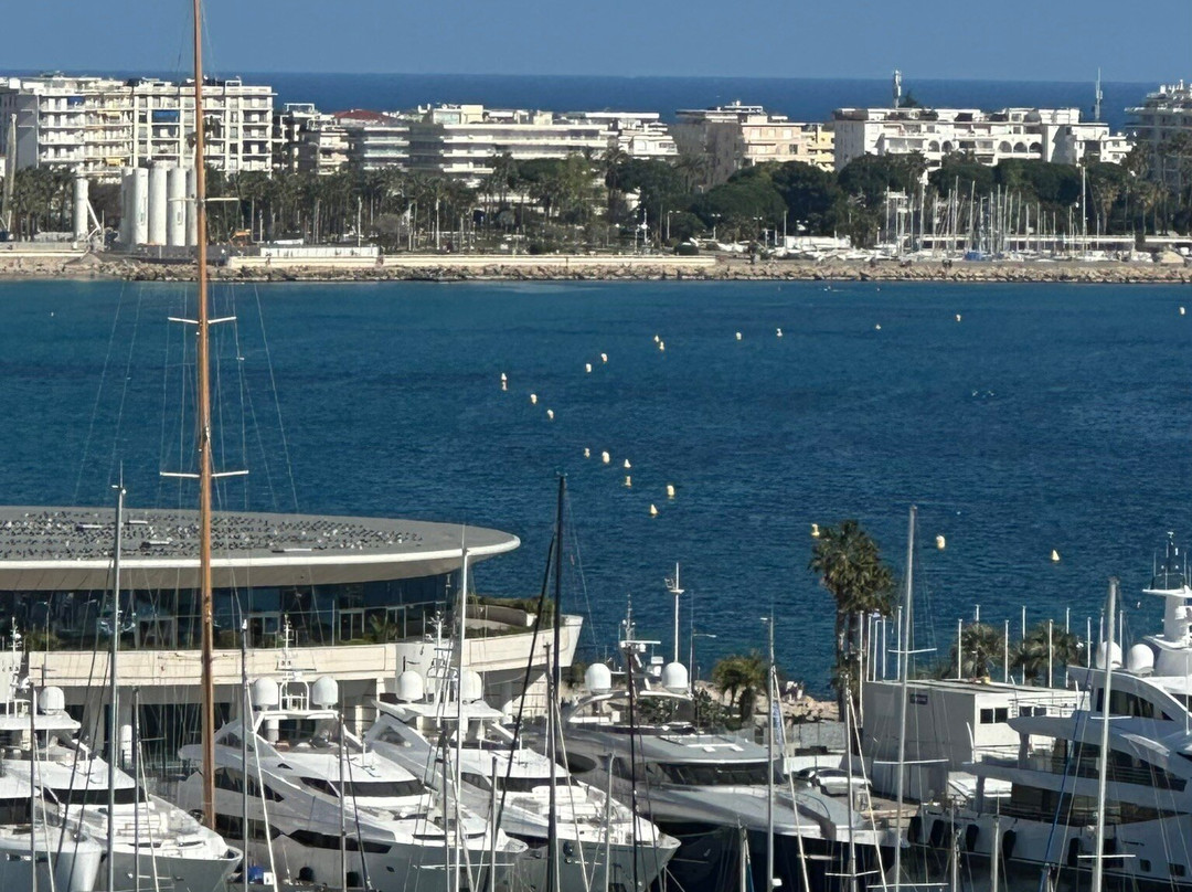 Vieux Port-戛纳必去景点
