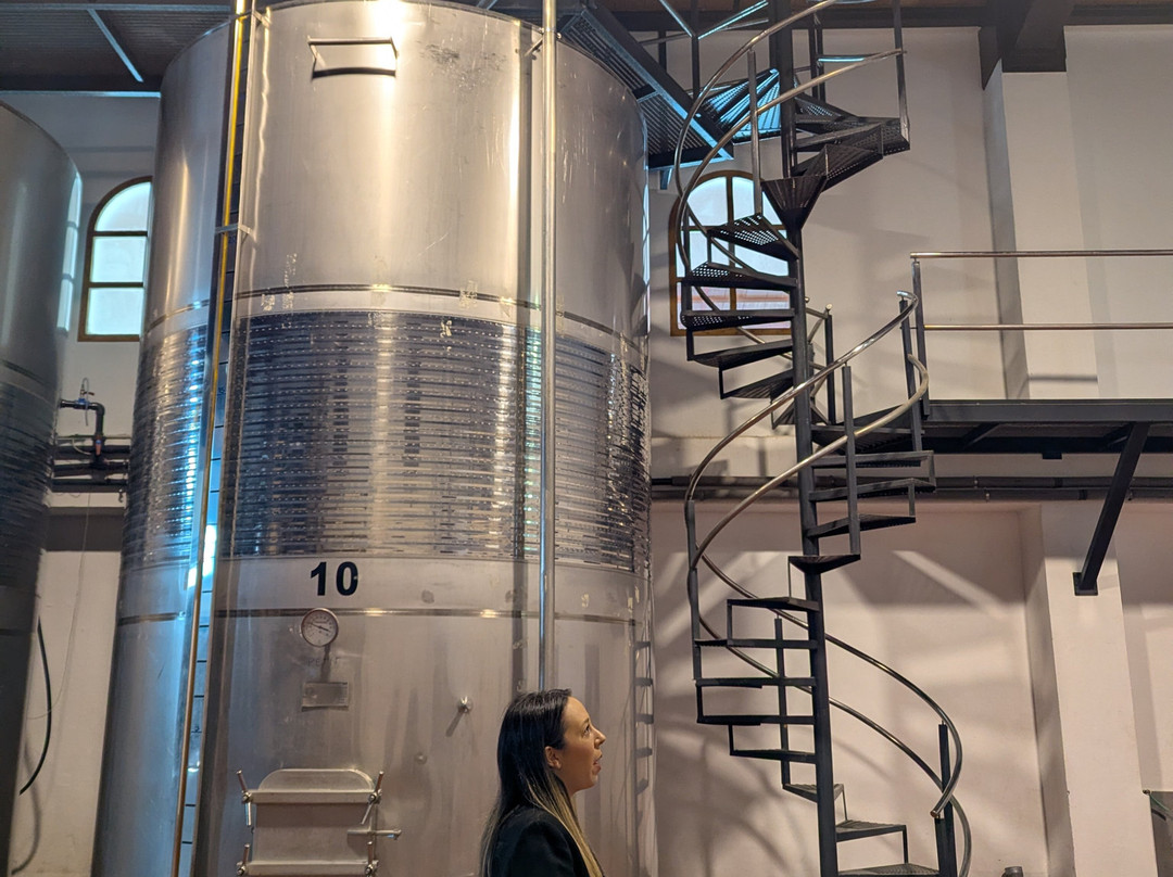 内华达酒店及酒庄主图