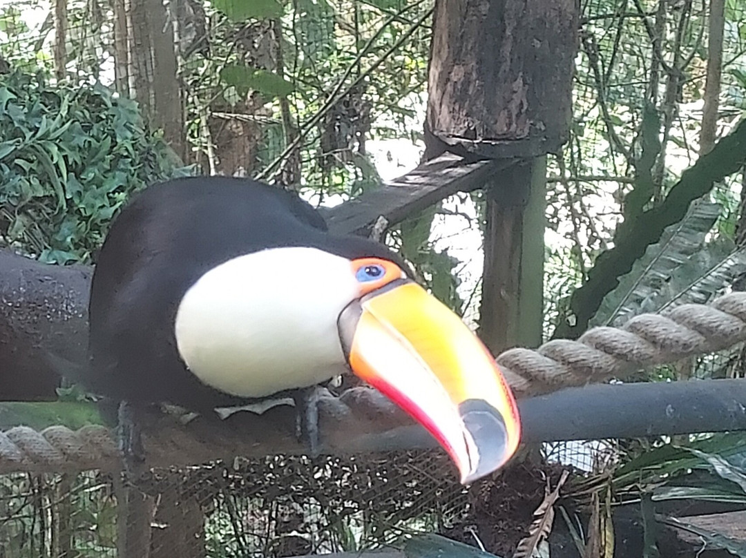 Zoo De Guadeloupe Au Parc Des Mamelles-Bouillante必去景点