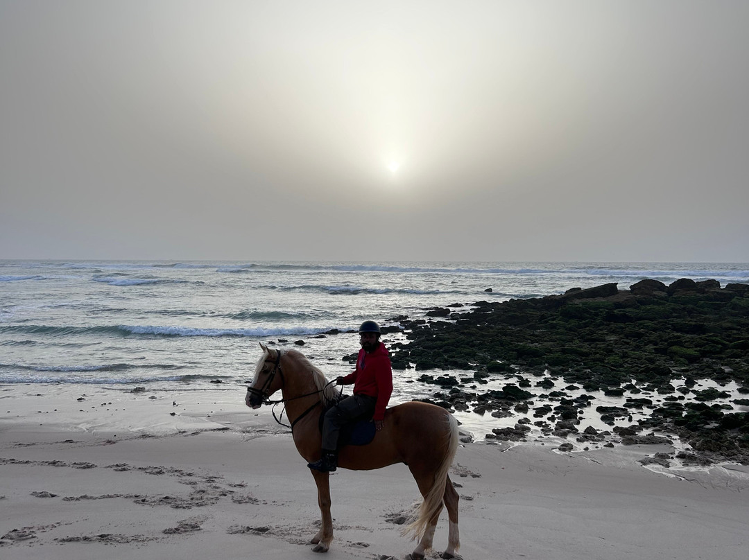 Ranch Des Dunes-达赫拉必去景点