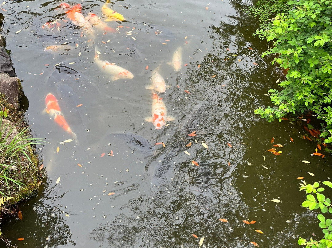 Manyo Botanical Garden-奈良市必去景点